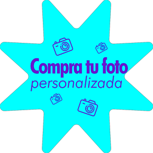 focorace' ?>
